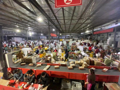 天貓雙11點亮蒲江 水果客服的千人咨詢戰役